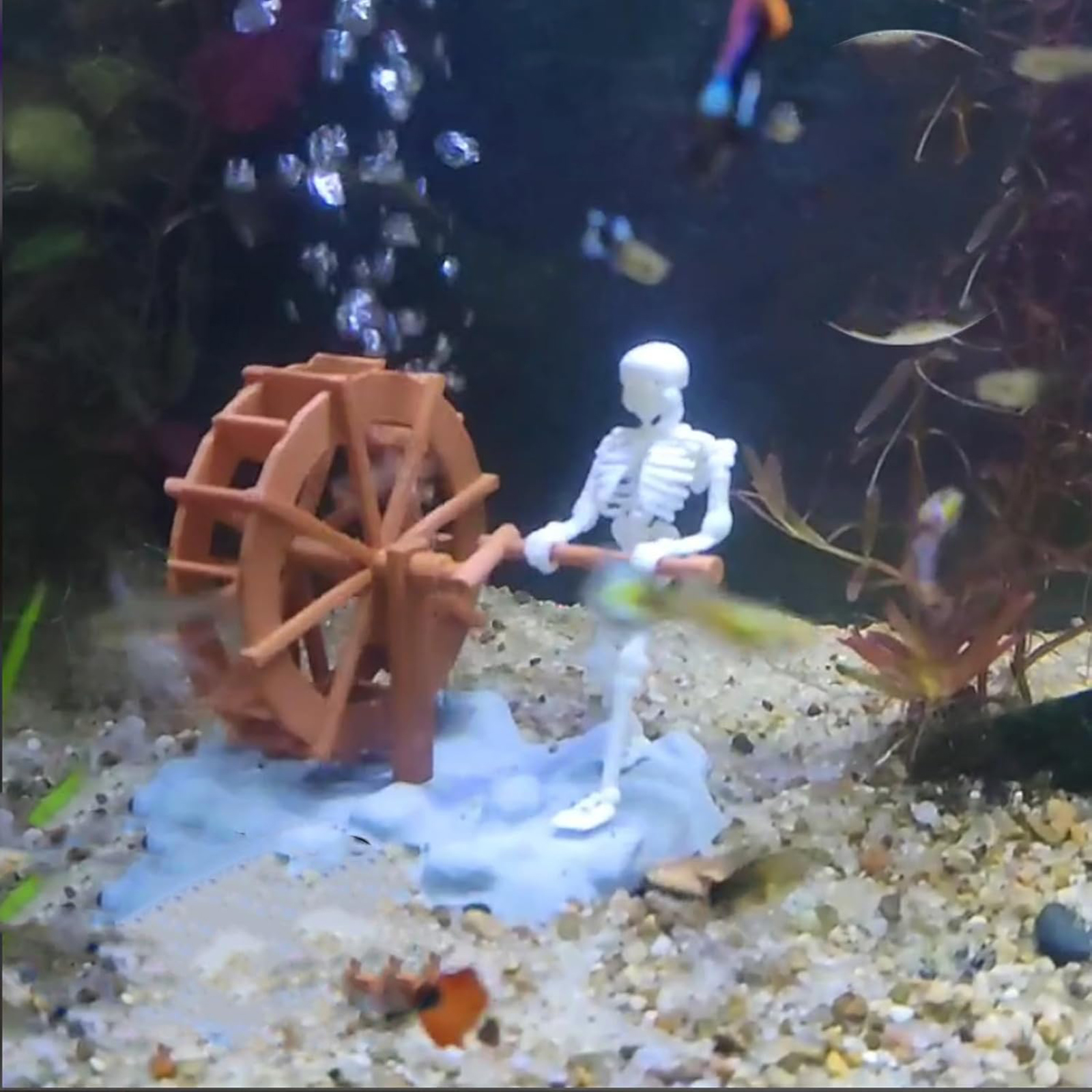 Skeleton Waterwheel Creative U – обзор и цена Aquarium Marine