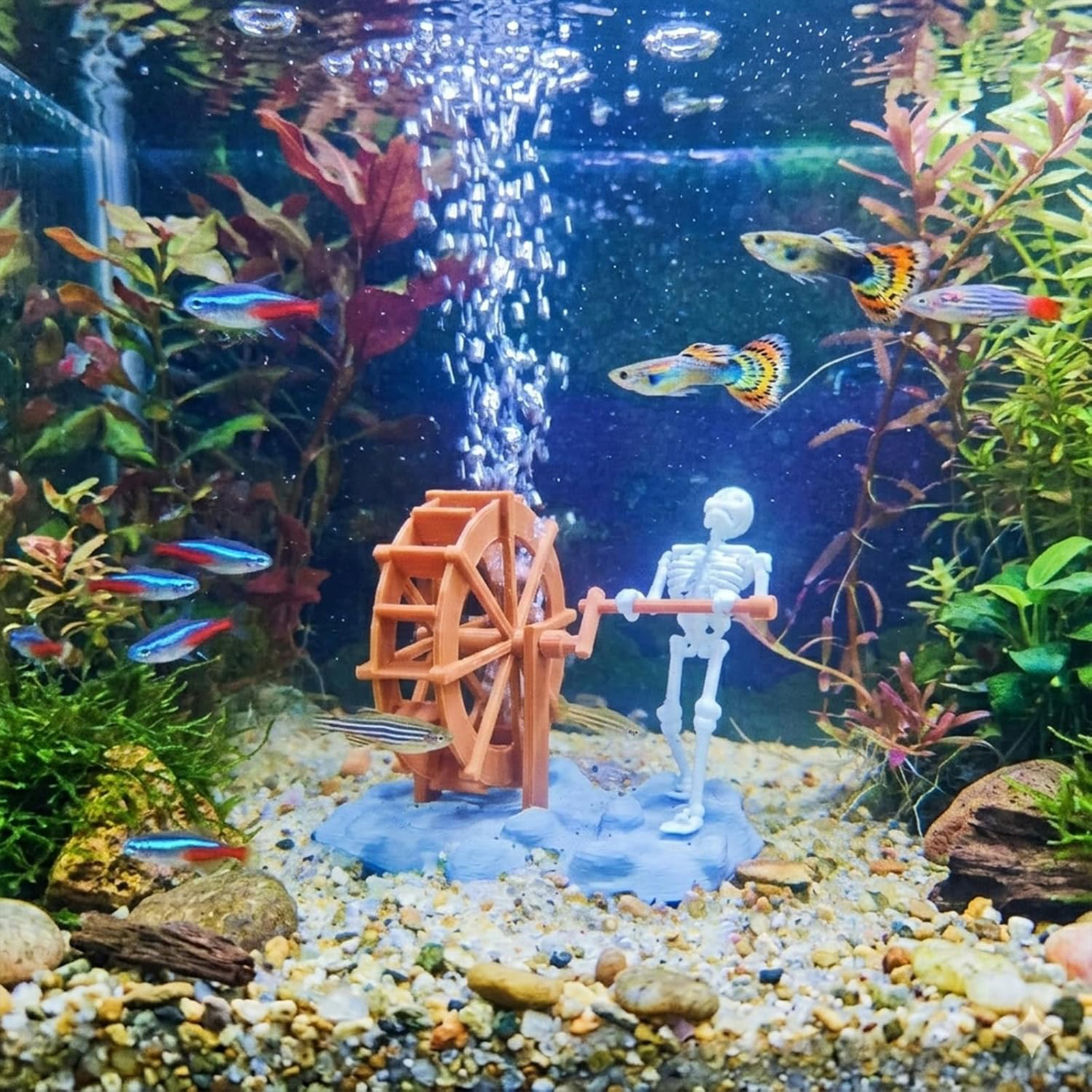 Skeleton Waterwheel Creative U – обзор и цена Aquarium Marine
